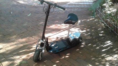 Adult Electric Scooter