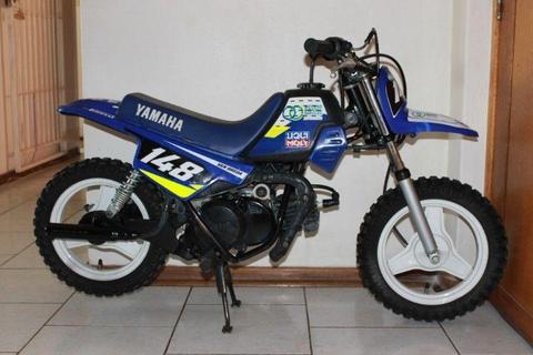 Yamaha PW and kit