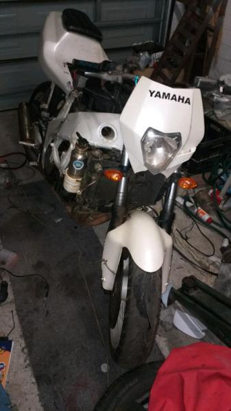 Yamaha FZR 1000 project