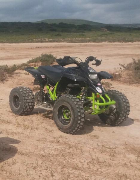 2006 Yamaha Blaster.Special edition