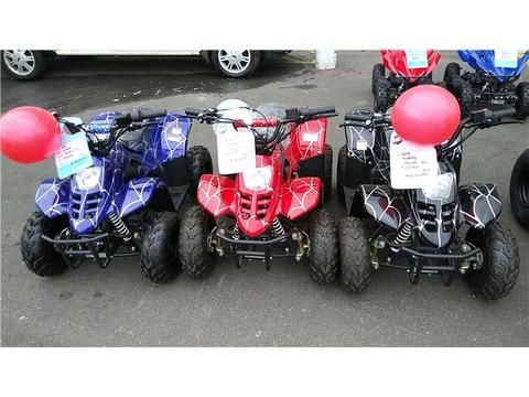 Kiddies 110cc Quads