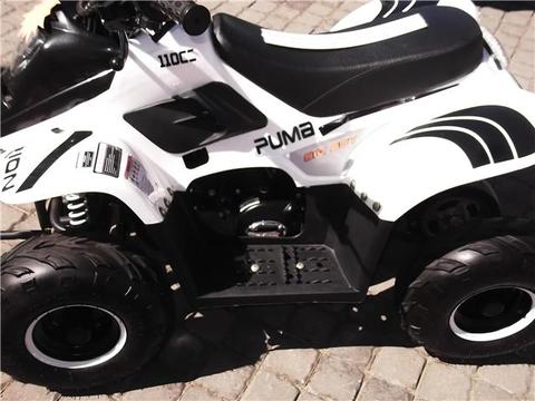 Quad mini BigBoy 110CC ????? The 2Wheelers Den, Of Course !!!!!
