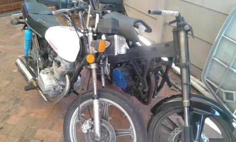 Motomia for sale