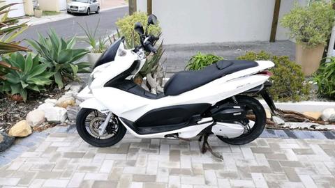Honda PCX 125 scooter