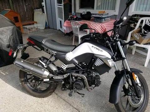 Kymco K-Pipe 125 For Sale or Swop