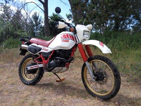 Original XT600 Tenere, sold with RWC and less than 14000km on the clock