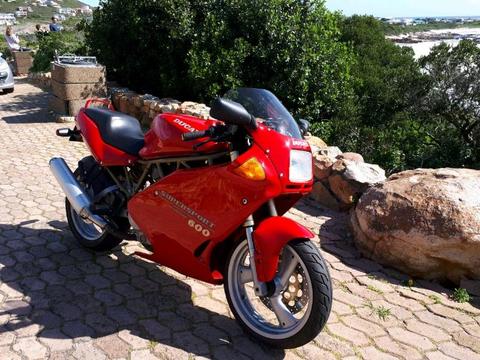 Ducati 600ss for sale