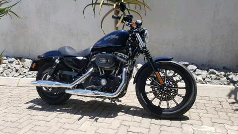 2013 Harley-davidson 883 Iron