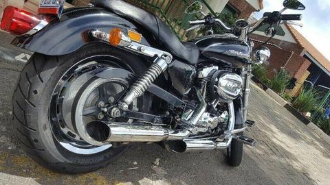 2007 Harley-Davidson Sportster 1200 Custom 