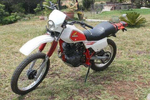 1981 Honda XL 250r 