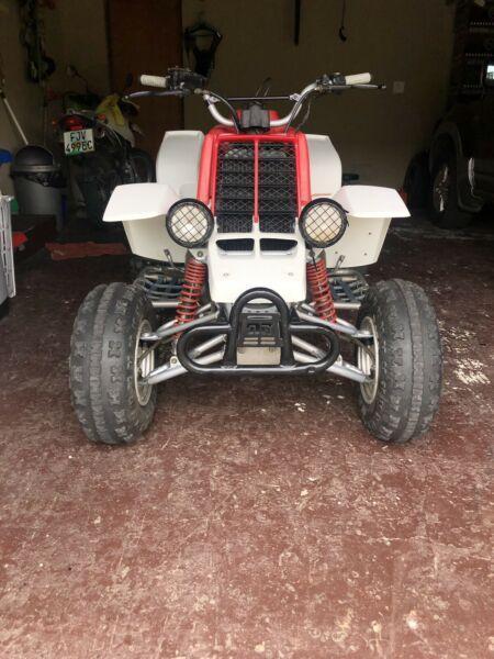 Yamaha Bashee 