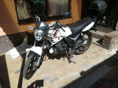 2015 Motomia Corretto for sale 