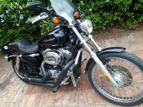 Harley-Davidson Sportster xl1200 for sale or to swop. R72000. 